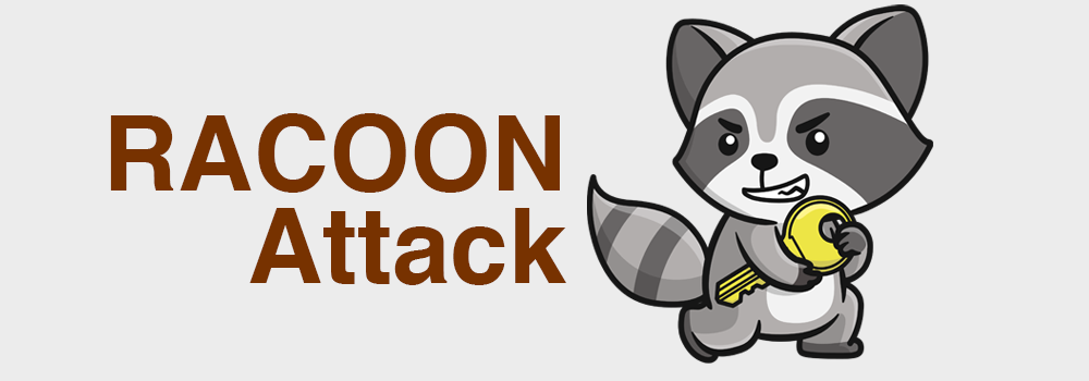 Understanding the SSL/TLS Racoon Attack